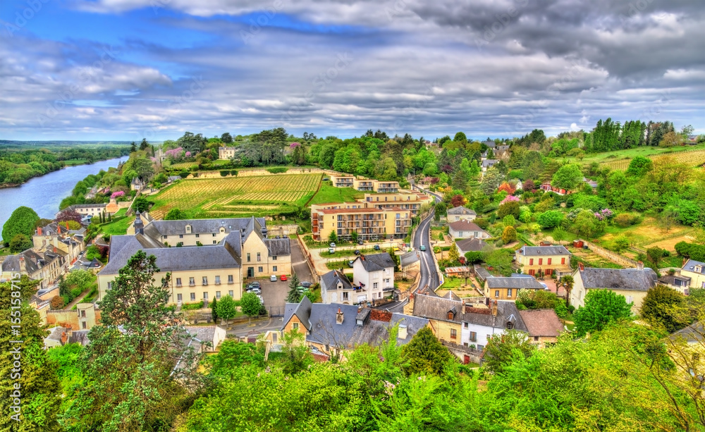 View of Chinon from the castle - France