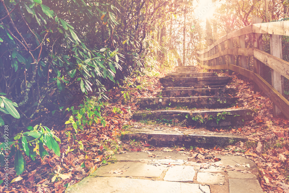 Forest stairway of stone in autumn