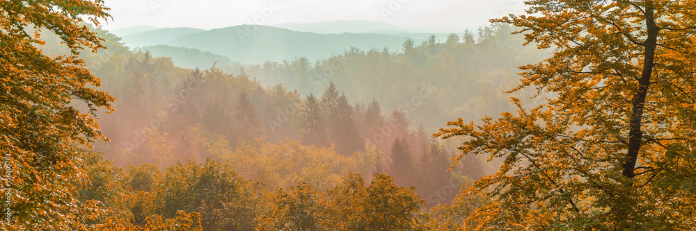 Wald Landschaft im Gebirge，全景