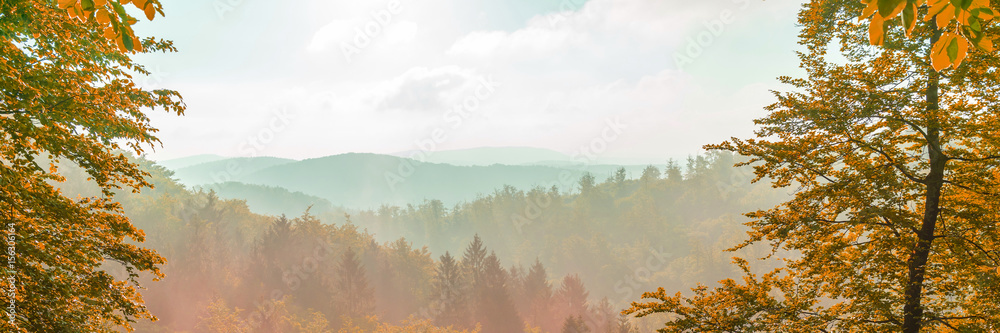 Wald Landschaft im Gebirge，全景