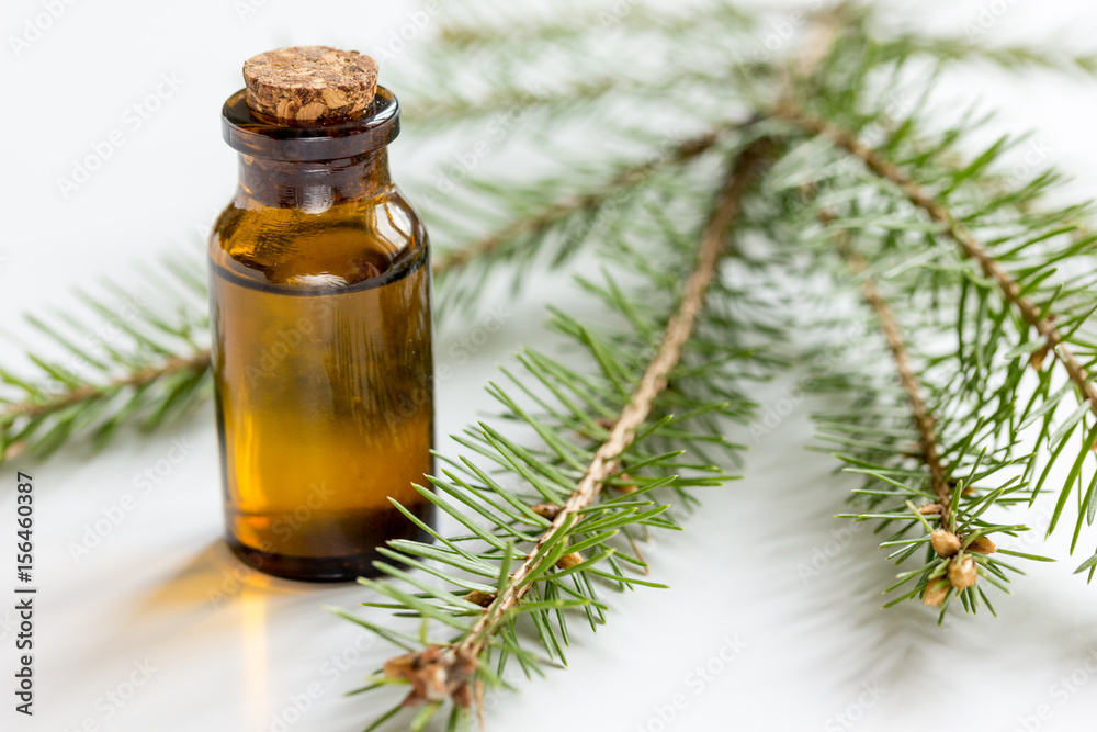 Bottles of essential oil and fir branches for aromatherapy and spa on white table background