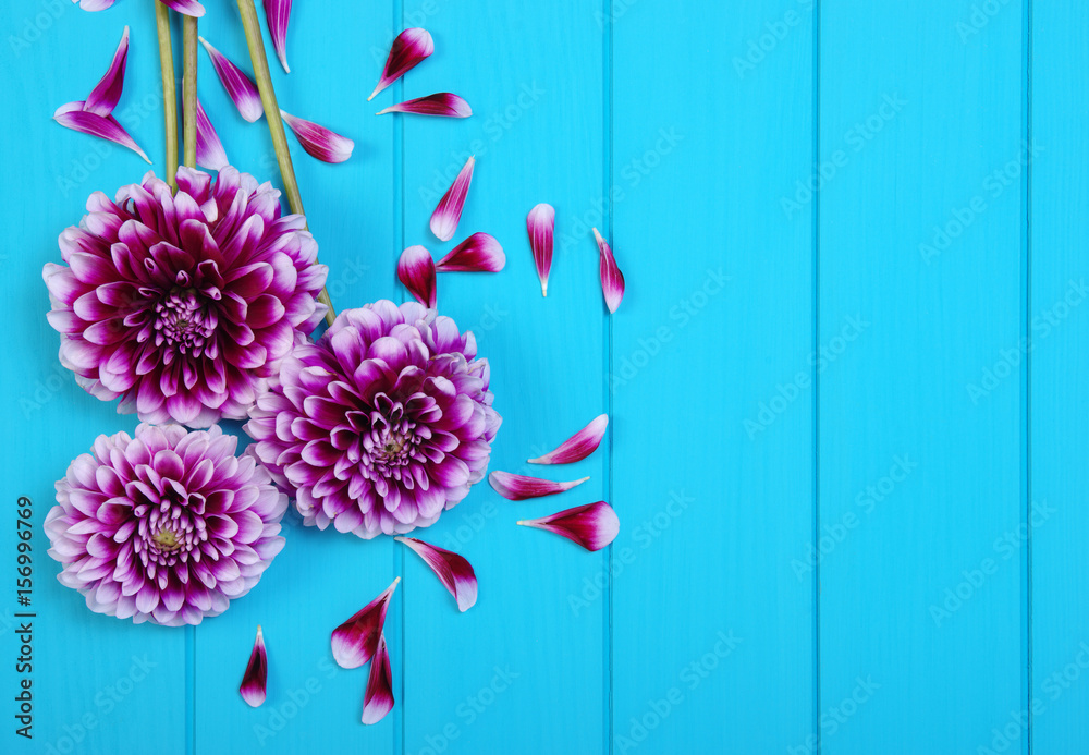  Flowers on blue painted wooden planks.