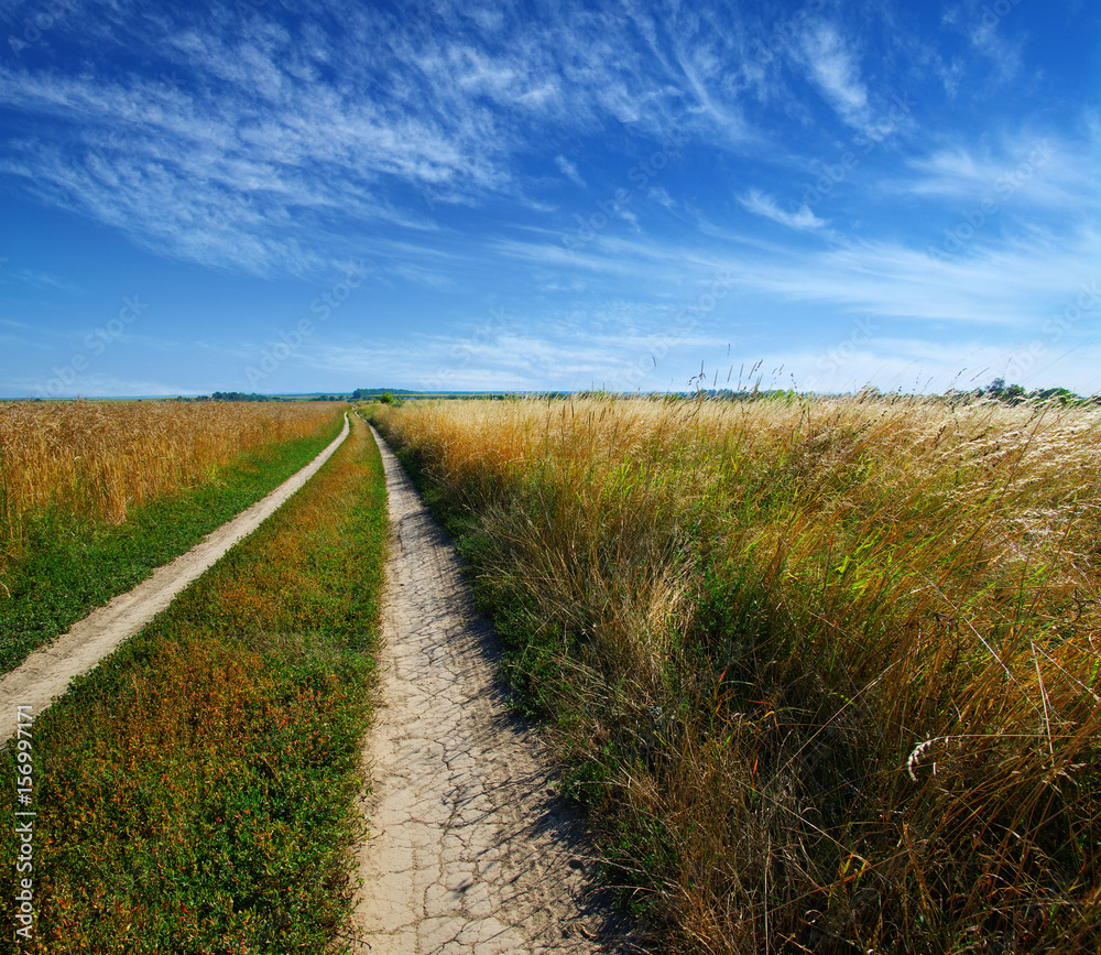 road in field