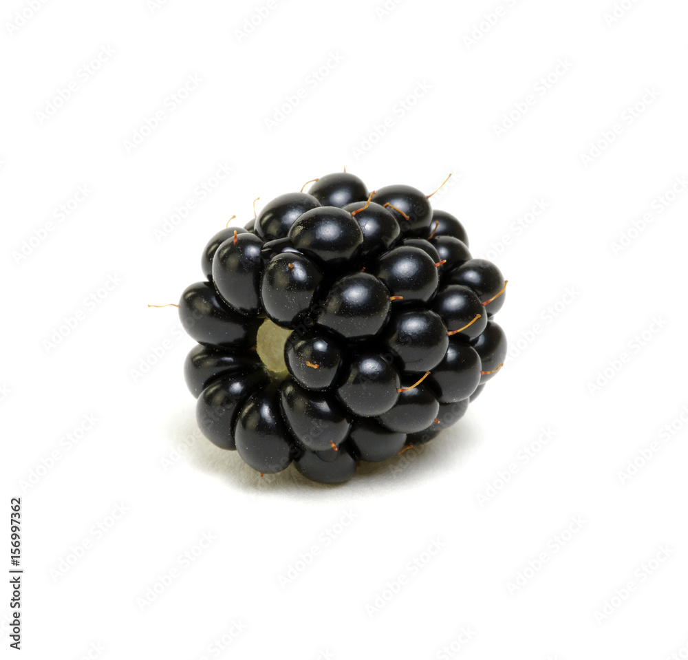 Blackberry isolated on white