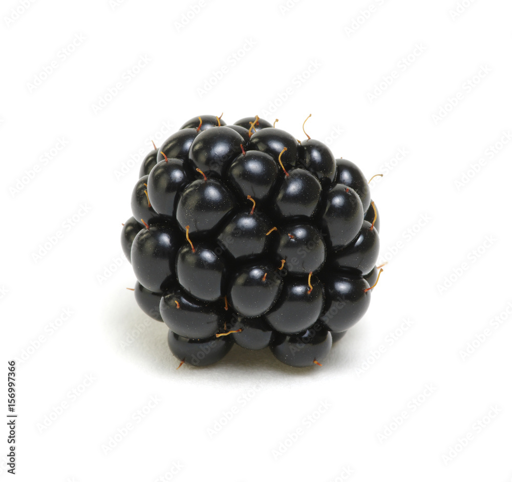 Blackberry isolated on white