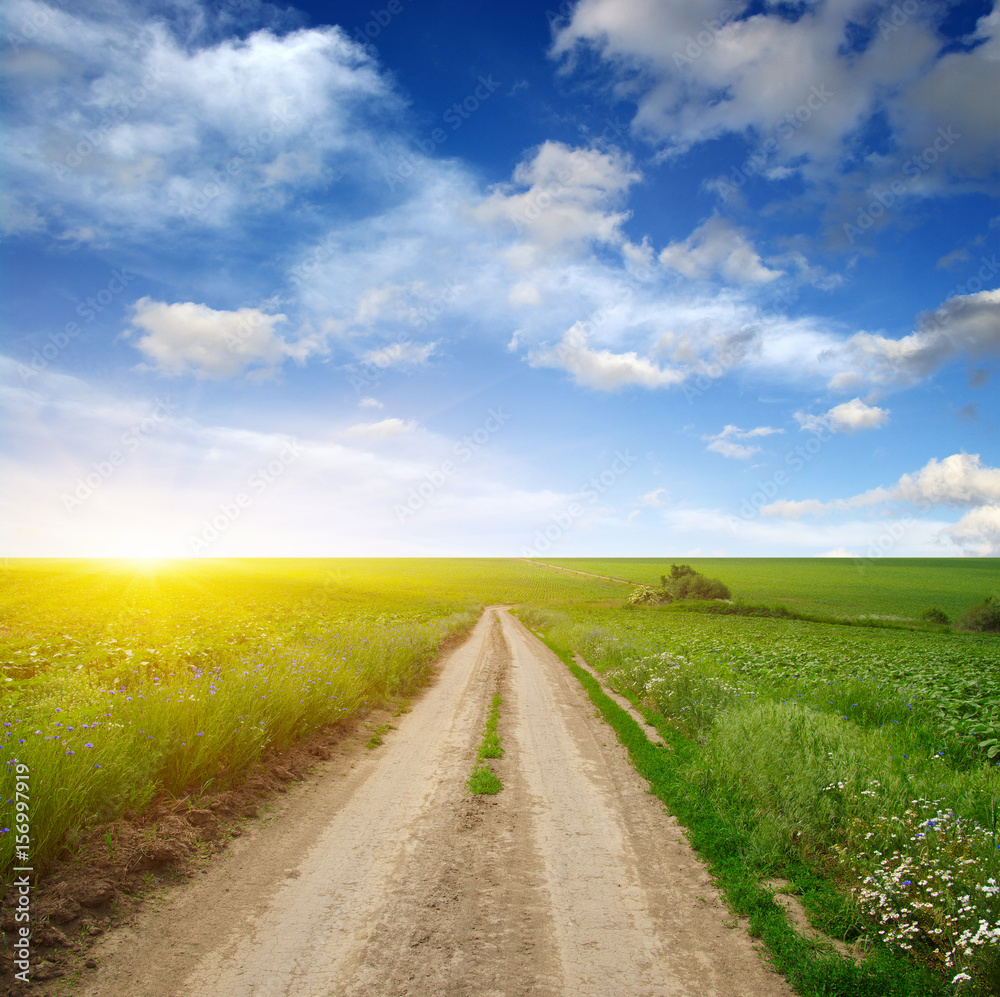 road in field and blue sky