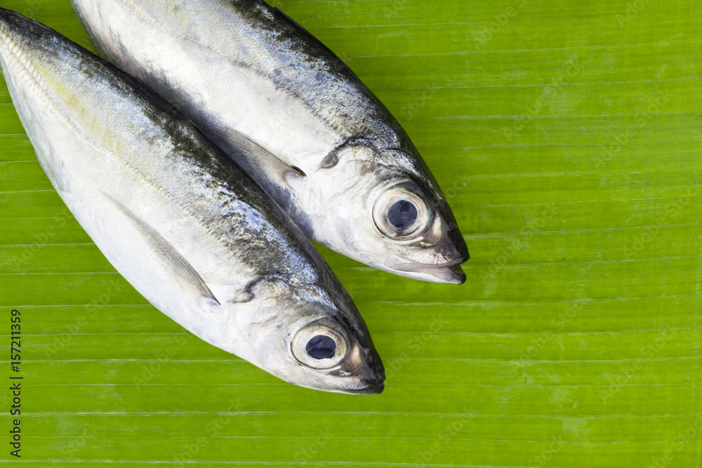 Selar crumenophthalmus ,Bigeye scad fish on banana leaves background.