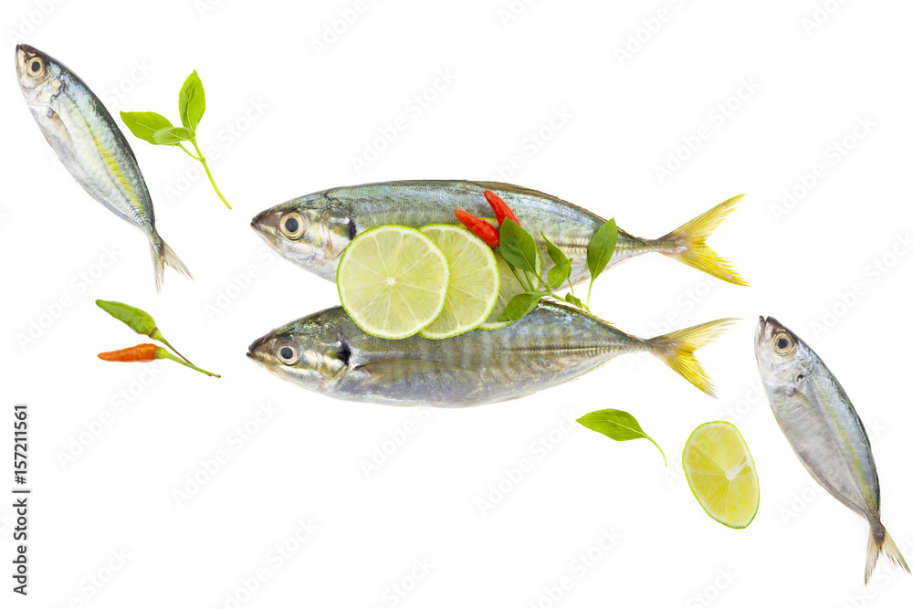 Fresh Yellow stripe trevally fish isolated on white background.