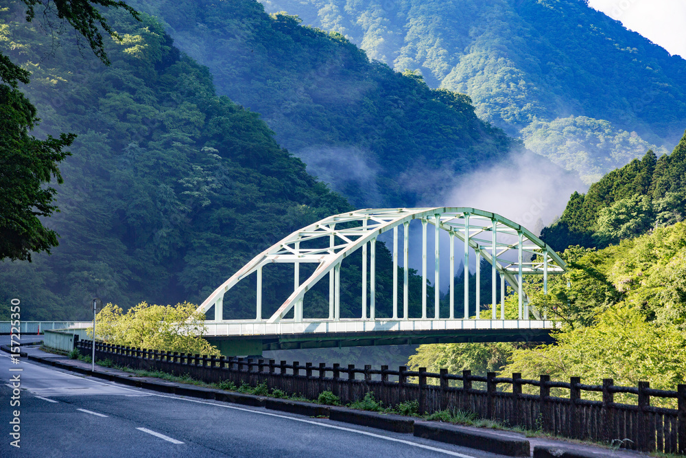 新緑の山と橋