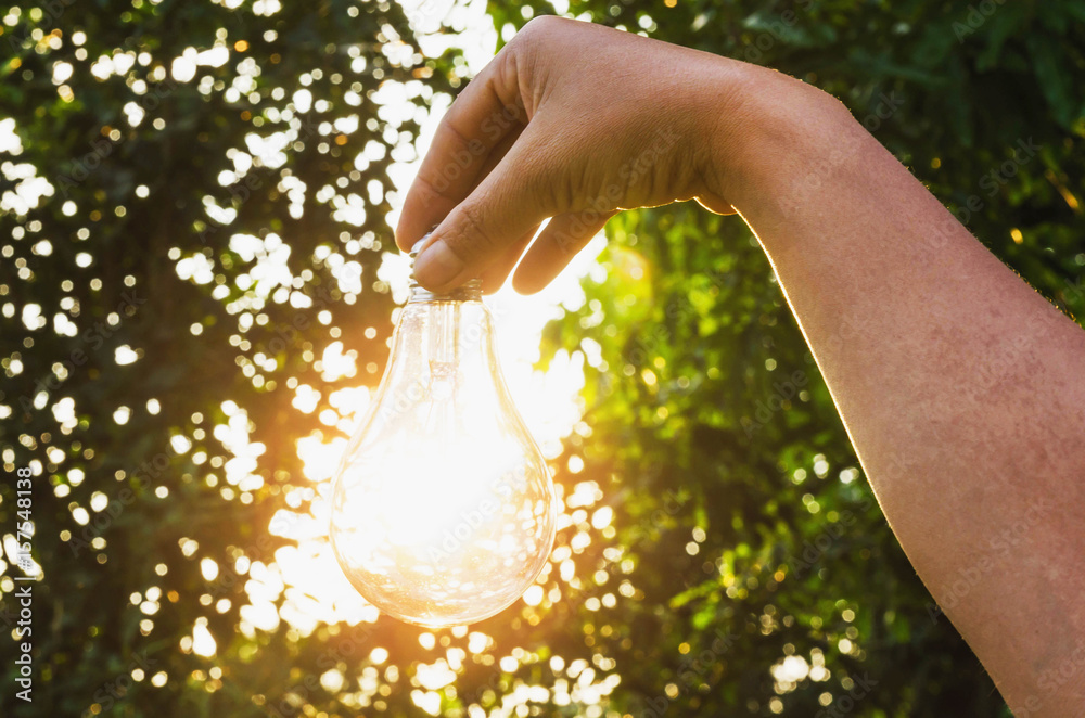 concept idea  hand hold light bulb solar energy in nature