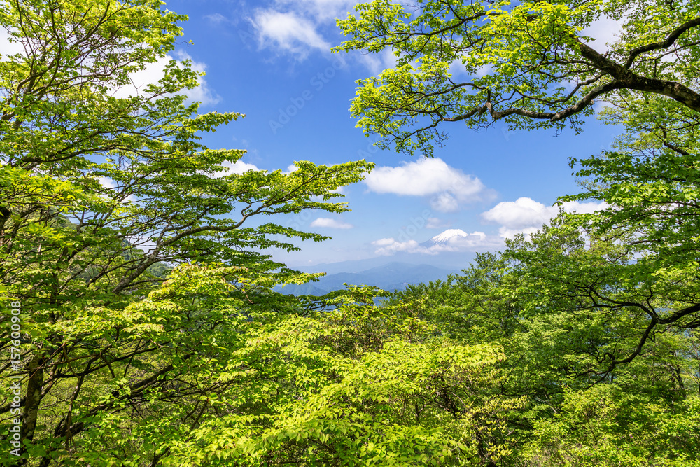 西丹沢から見る富士山