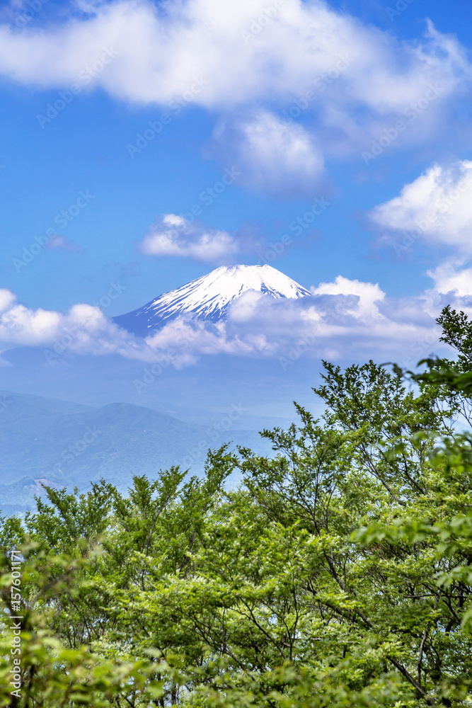 西丹沢から見る富士山