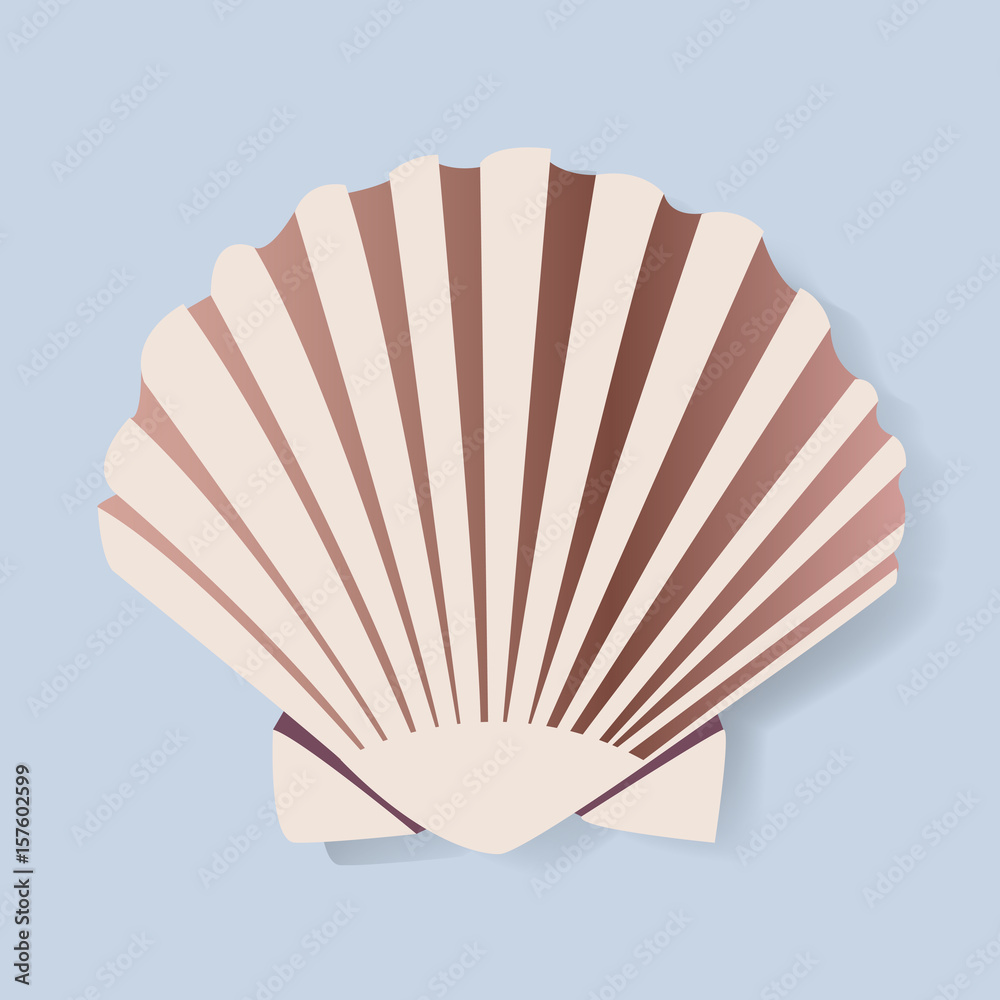 Seashell Vectot Illstration Graphic Design