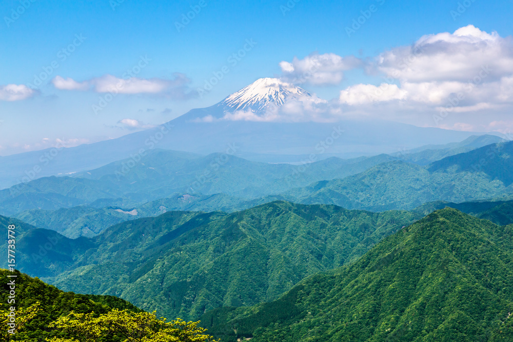 西丹沢から見る富士山