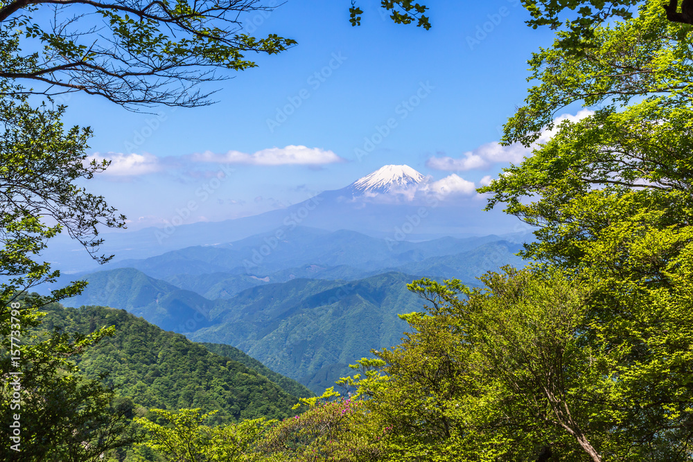 西丹沢から見る富士山