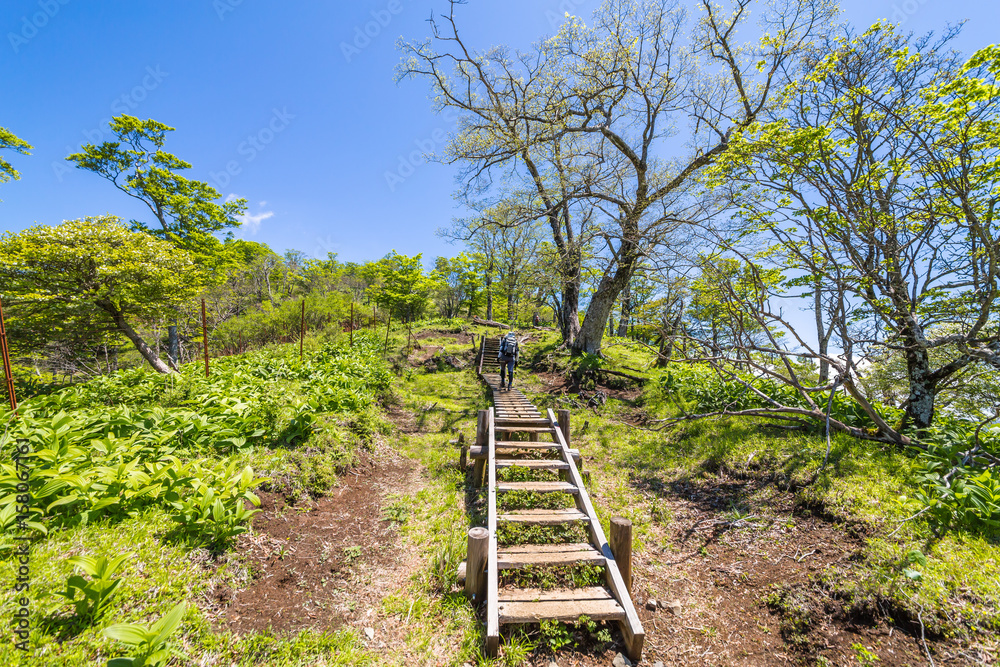 登山道