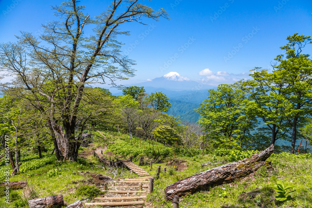 西丹沢から見る富士山