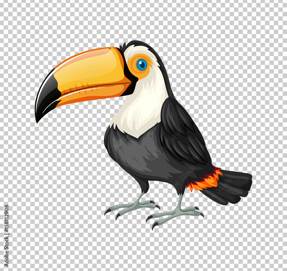 Cute toucan bird on transparent background