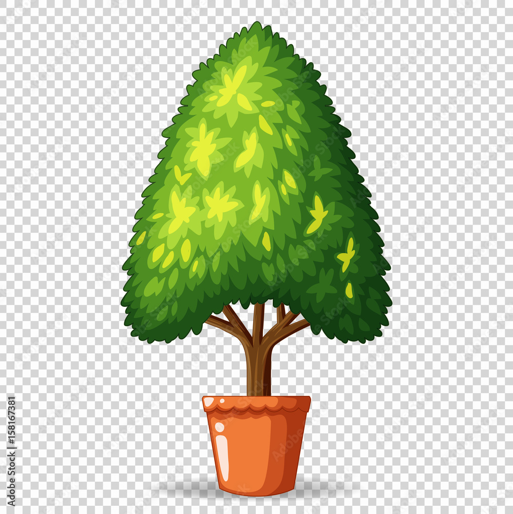 Green tree in pot on transparent background