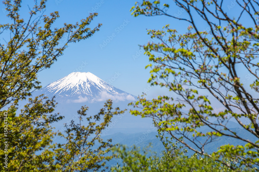 西丹沢から見る富士山