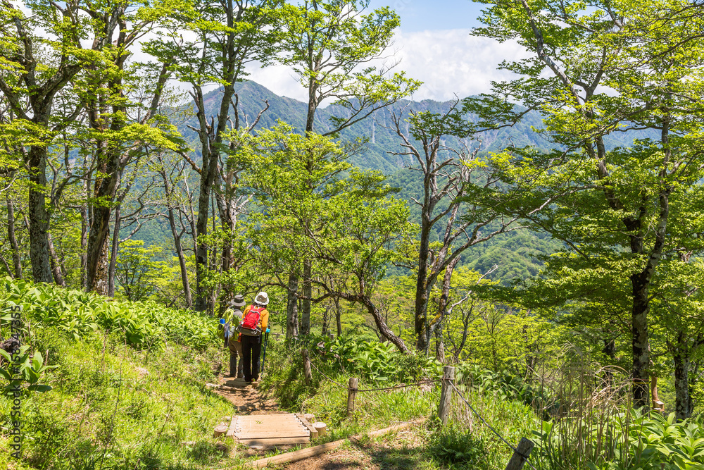 登山道