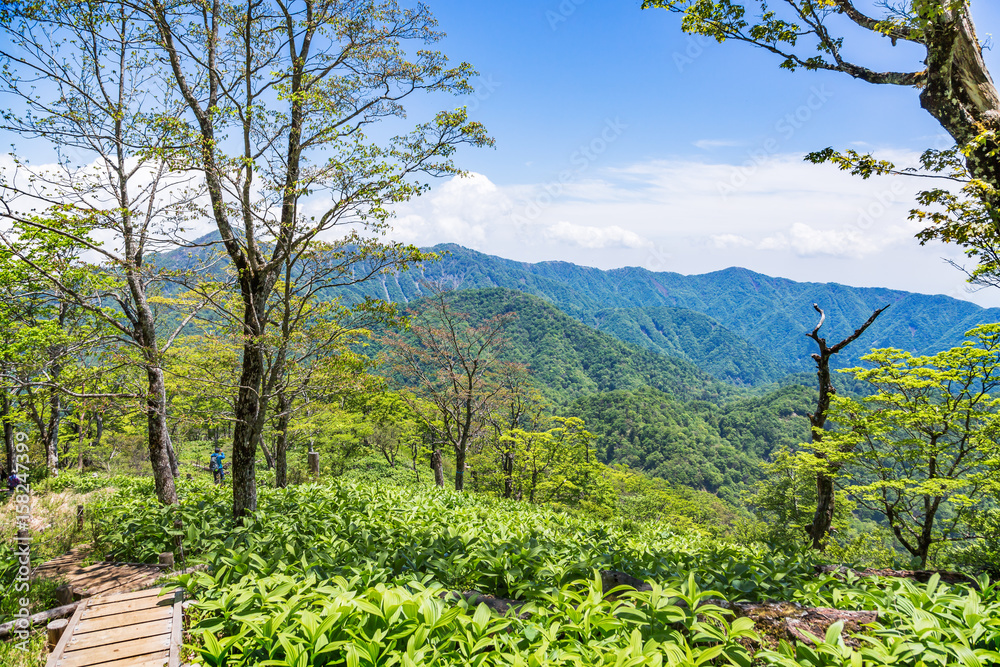 登山道