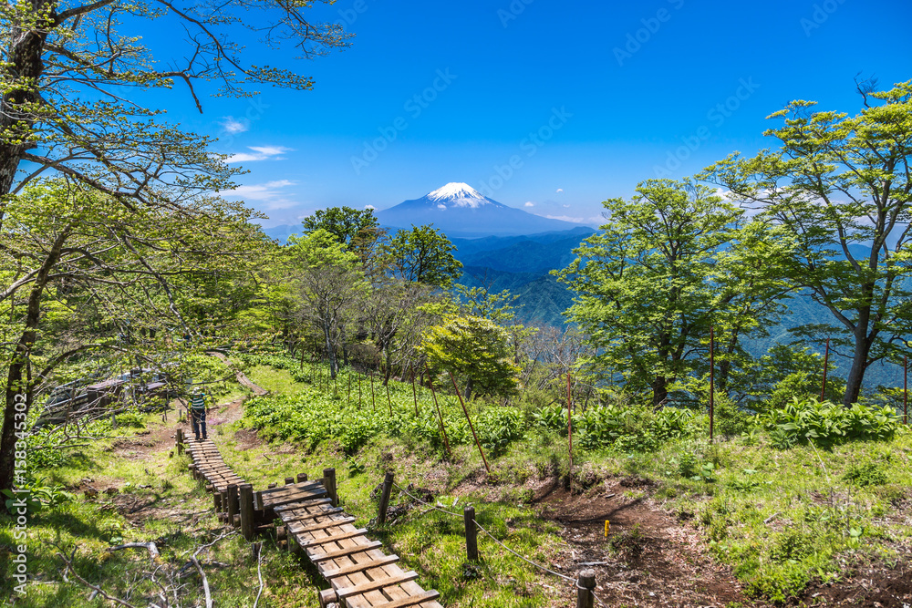 丹沢の登山道