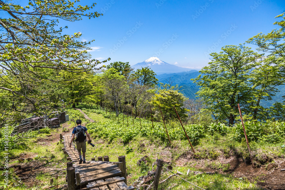 丹沢の登山道