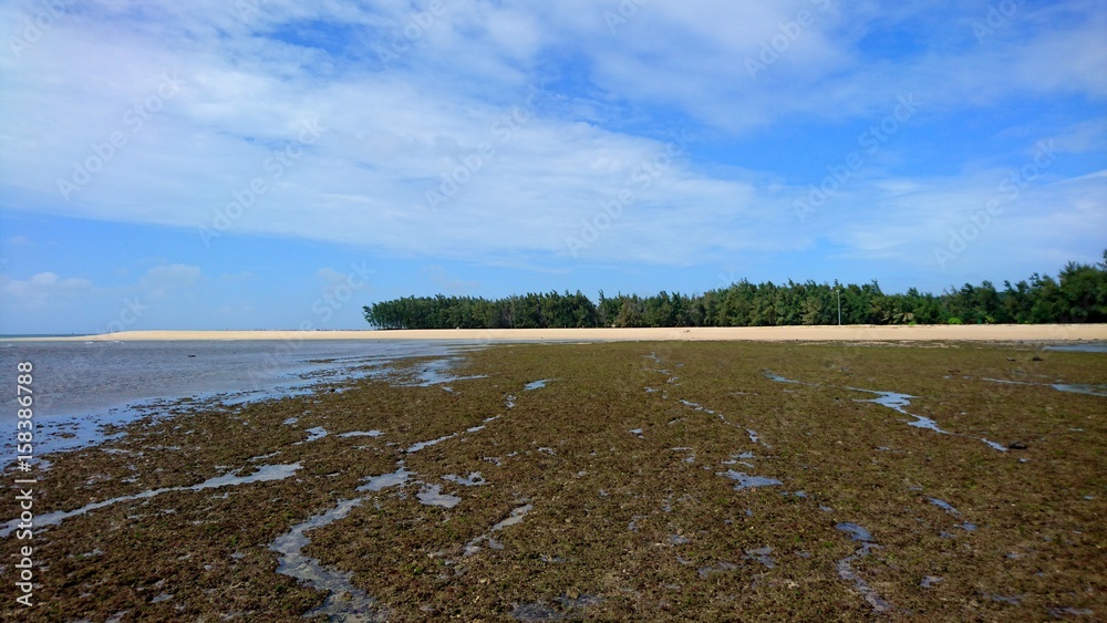  Low sea on Vietnamese Island