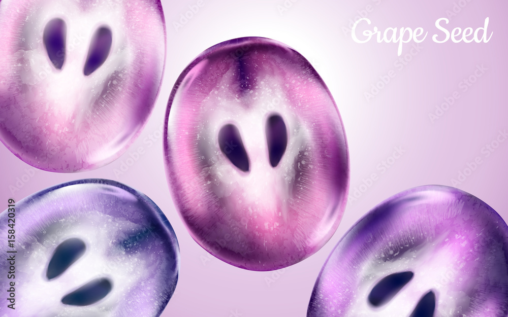 grape elements illustration