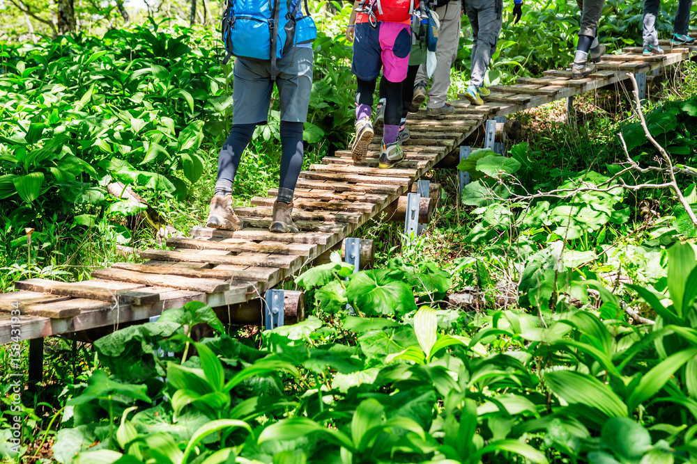 丹沢の登山道