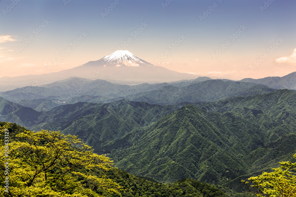 西丹沢から見る富士山