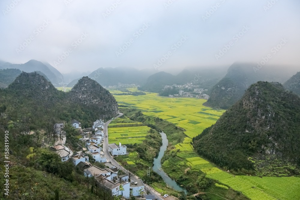 云南油菜花田景观