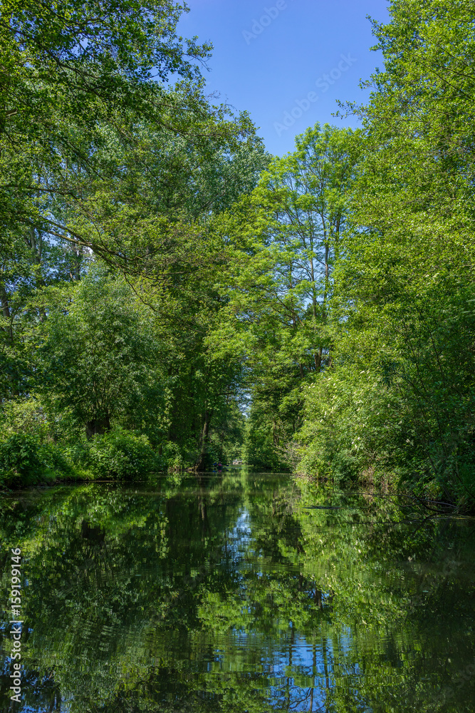 Beuatiful river landscape, river Spree in Germany