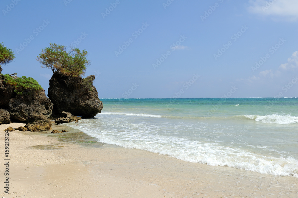 Beach and tropical ocean