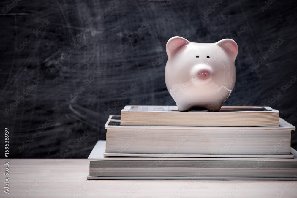 Education financial saving. Pink Piggy bank on top of books with chalkboard.