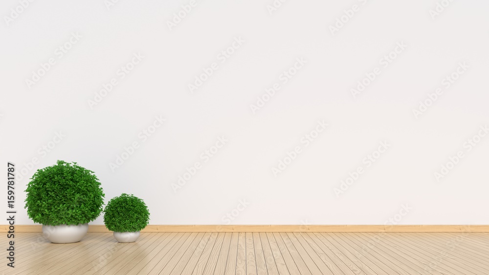 Ornamental plants placed on the empty room,3d rendering