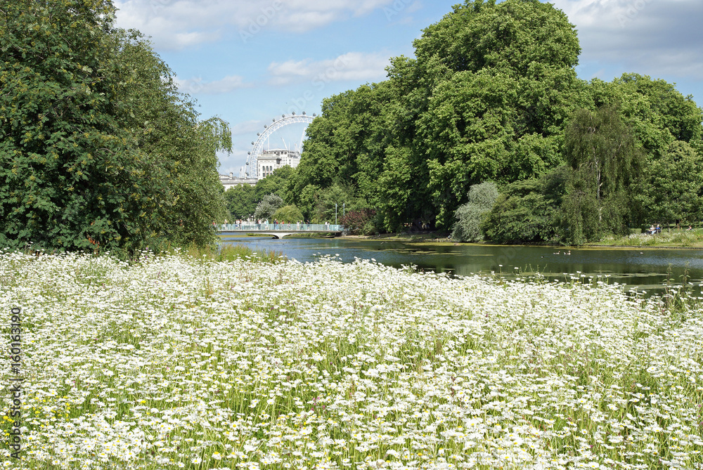 St. Jamess Park Lake