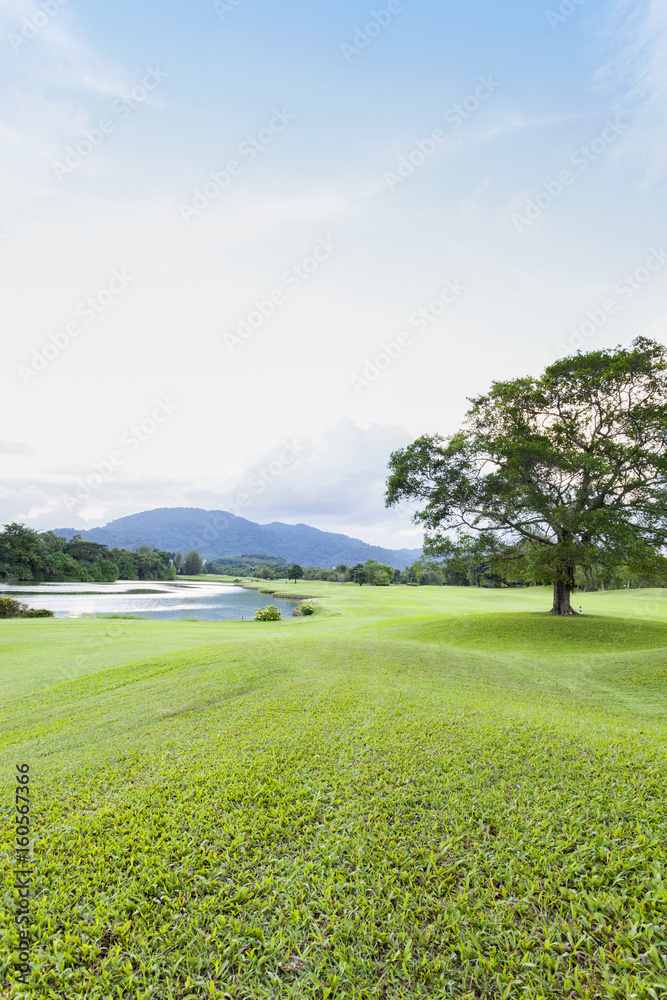 高尔夫球场、绿草地和泻湖。