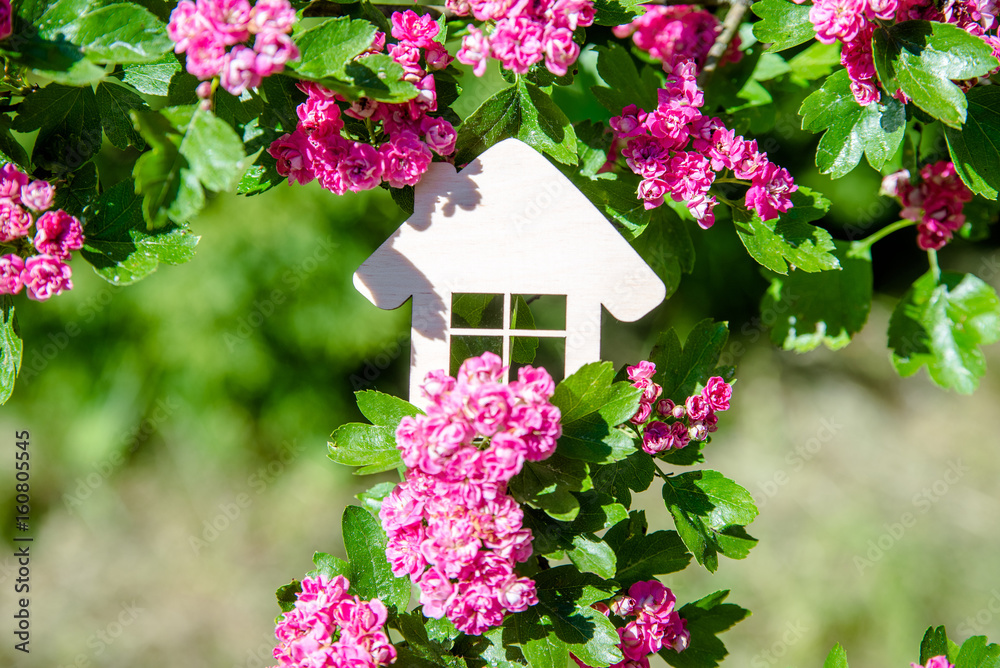 The symbol of the house among the blooming Crataegus Pauls Scarlet 