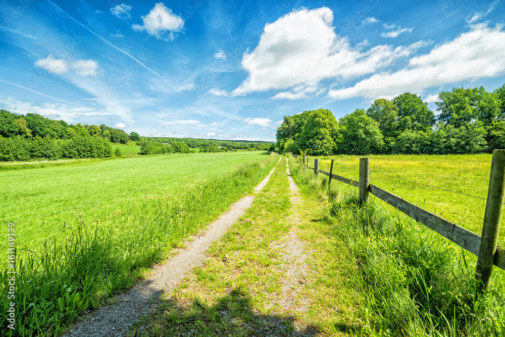 Swedish country road in summer season