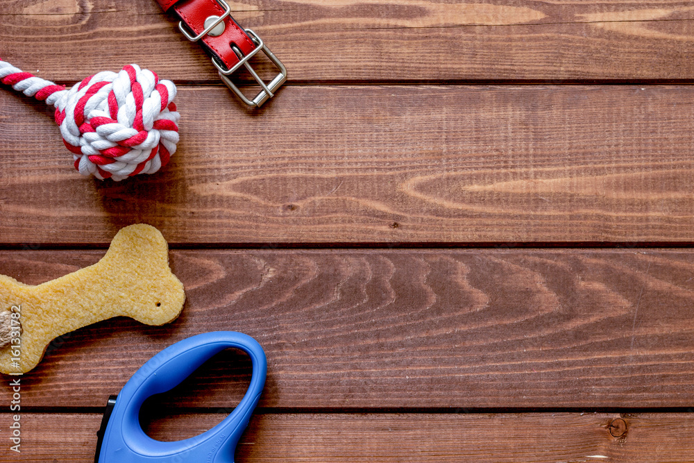 concept pet care and training on wooden background top view