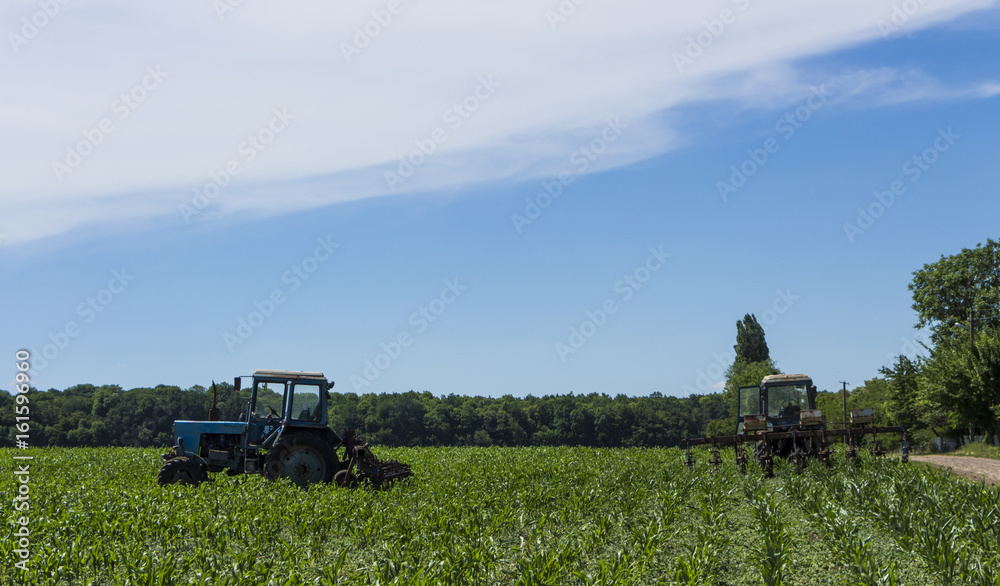 Old tractor running in the field