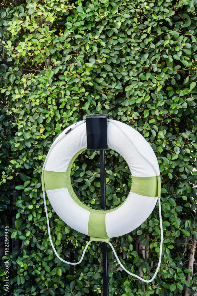 white life ring hang on the tree wall near swiming pool