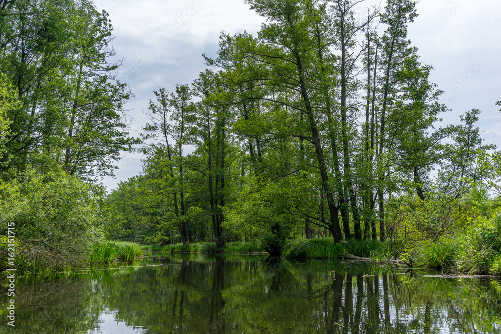 River landscape for a kayak tour