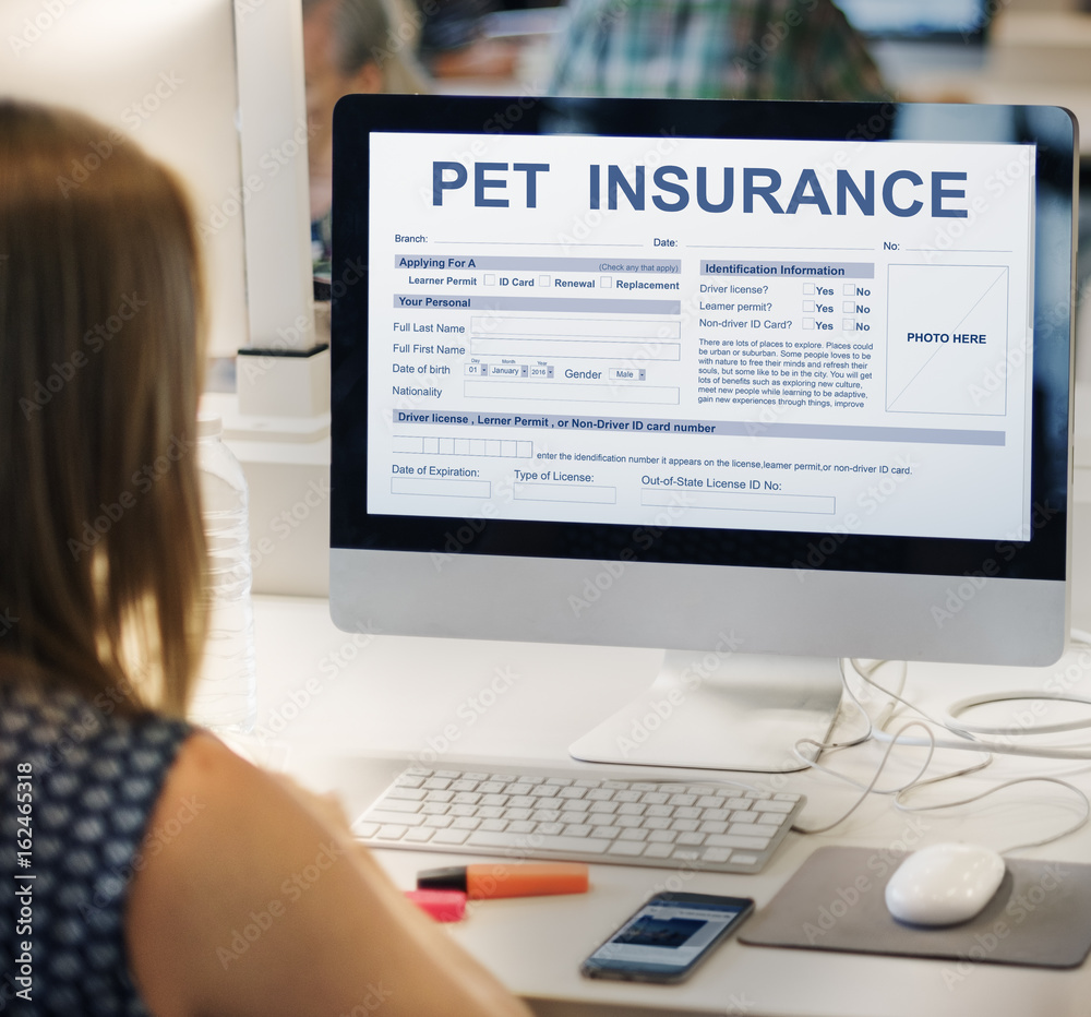 Pet Insurance Form Animal Doctor Concept