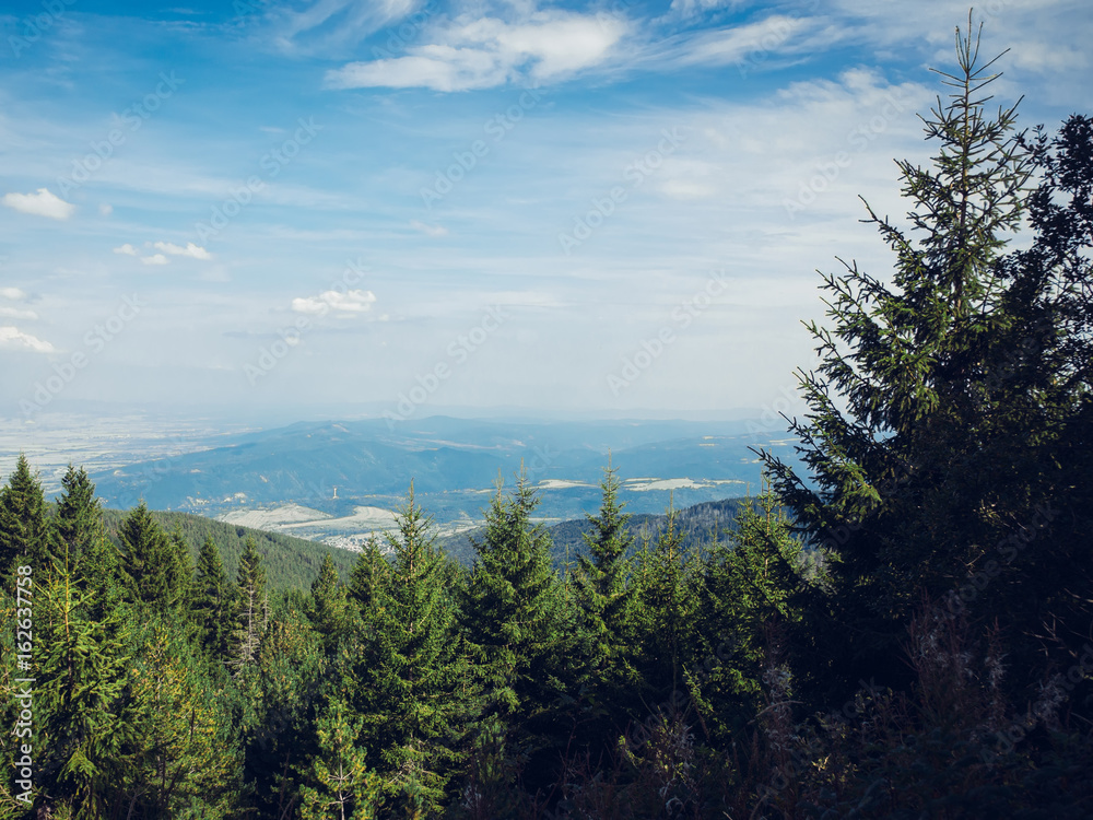 Beautiful view with pines on green mountain and magnificent cloudy sky. Vitosha mountain, Sofia, Bul