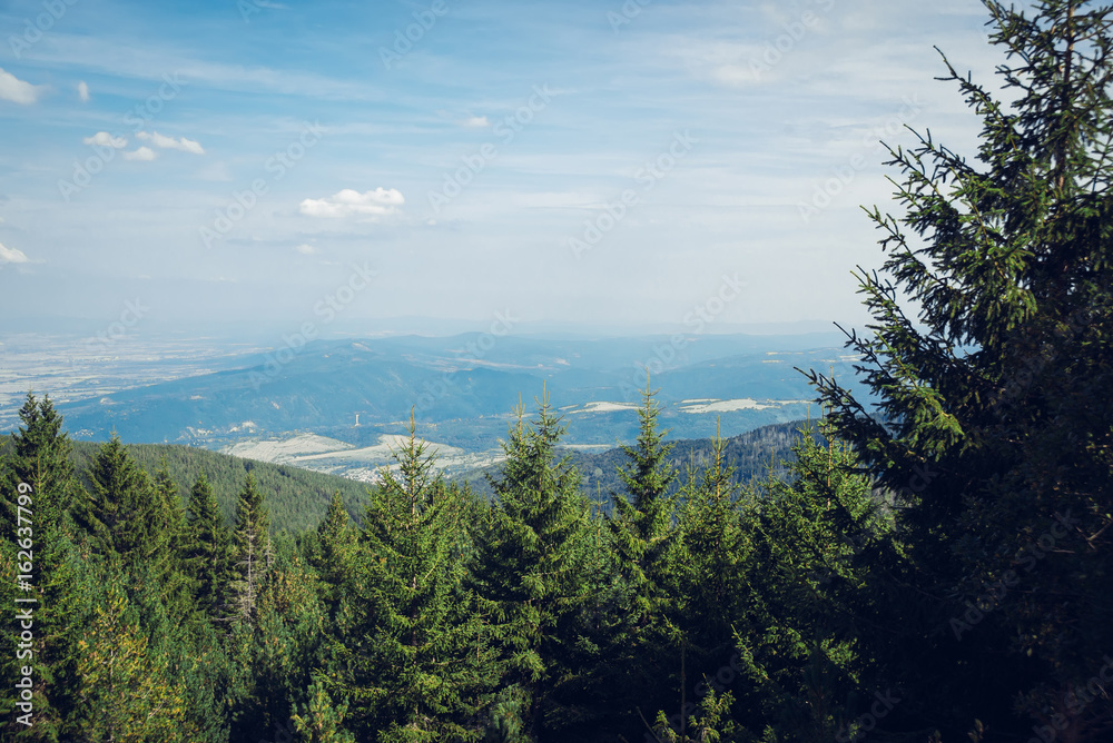 Beautiful view with pines on green mountain and magnificent cloudy sky. Vitosha mountain, Sofia, Bul