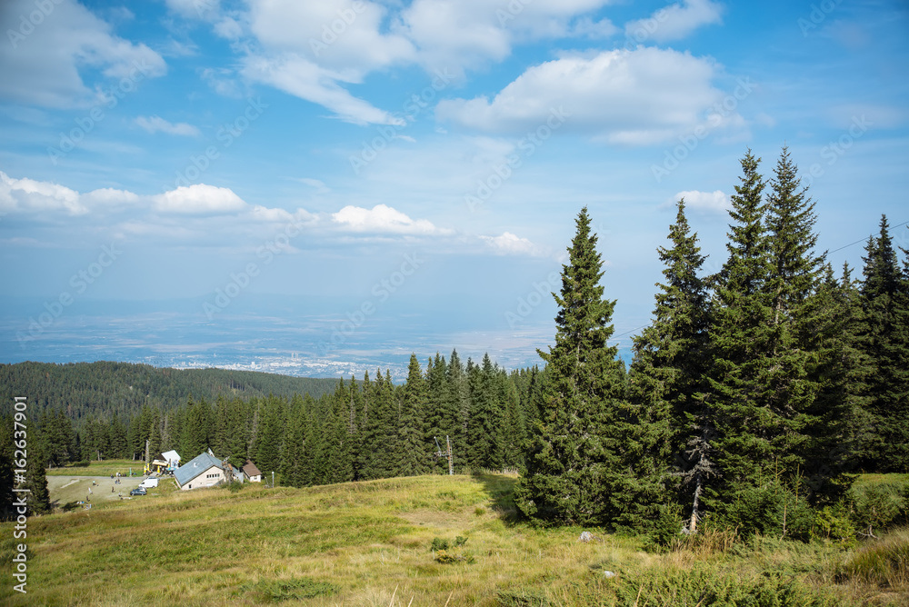 青山上的松树和壮丽的多云天空的美景。布尔索非亚的维托沙山