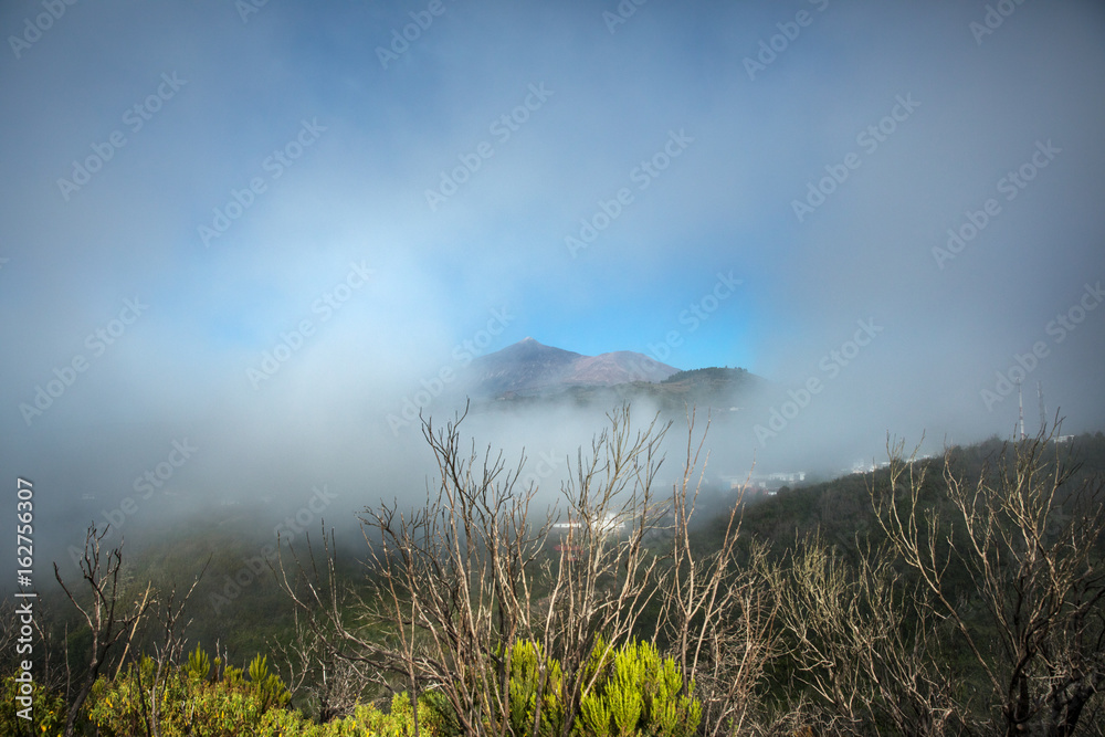 特内里费岛，特诺山脉，埃尔霍斯，泰德